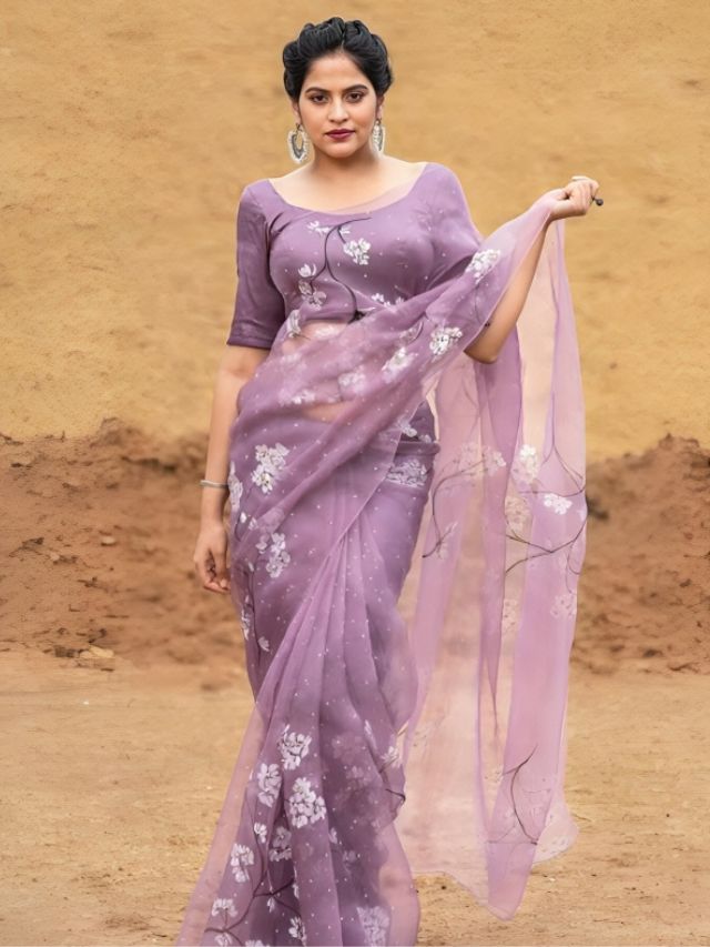 Fancy Sheer Organza Saree