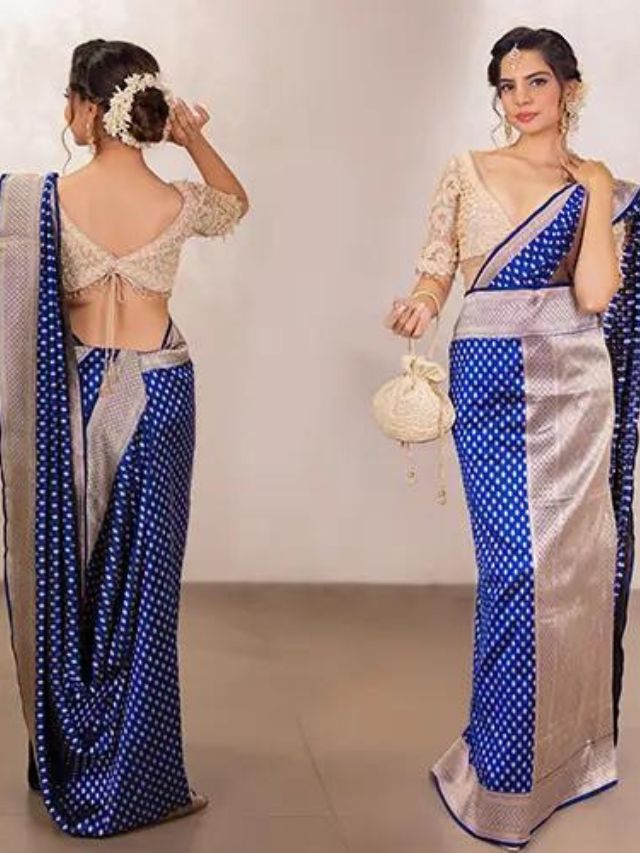 Chhattisgarh Saree Draping Style