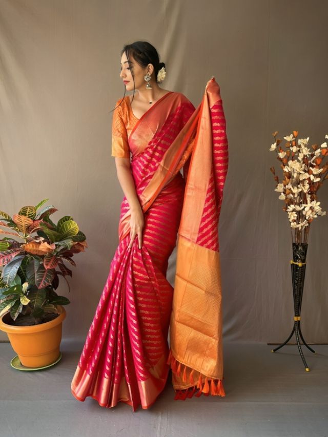 Holding Pleats Saree Photography