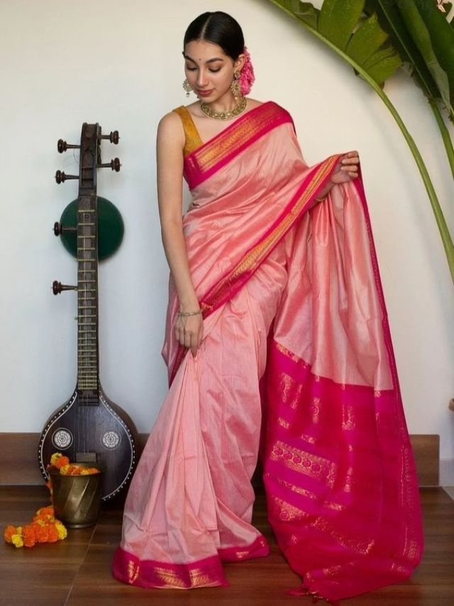 Holding Pleats Saree Pose