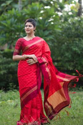 Banglori Raw Silk Saree With Contrast Zari Wooven Pallu