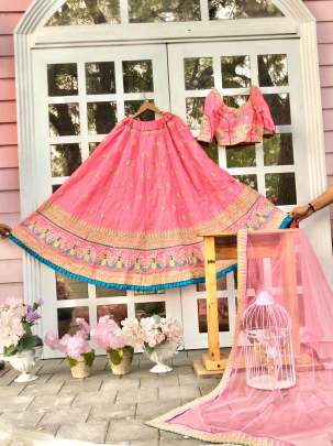 Chennai Silk With ButterFly Net Dupatta Light Pink Colour LehnghaCholi