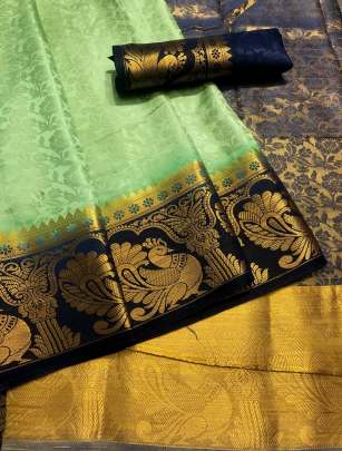 Chit Pallu Light Green Color