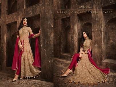 DN LFH 5704 Salwar Suit Rani