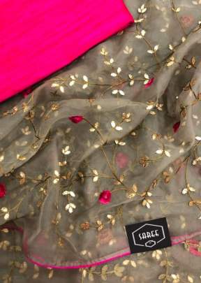 Heavy Organza With Embroidery Work Chikku Color Saree