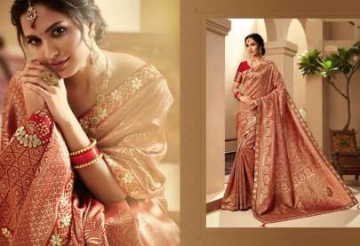 Indian Women s Designer Banarasi Silk Saree Catalogs