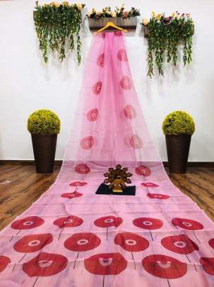 Kd Organza Saree