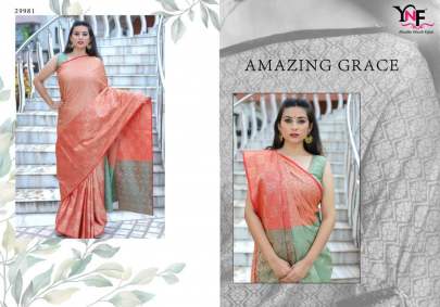 YNF Kanakveli Silk Saree Sari Catalog