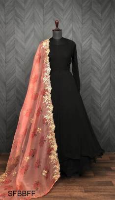 Black Beautiful Flaired Floor Touch Gown