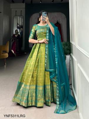 Kanjivaram Gown Adorned with a Graceful Net Dupatta in Light Rama Green