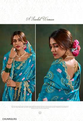 Pure Chiffon with Cutwork Embroidery Saree in Light Rama Green