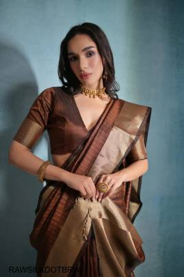 Soft Banarasi Raw Silk Saree in Brown