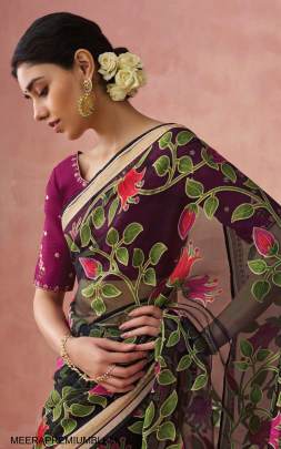 Soft Onyx Brasso Organza Saree in Black Multicolor